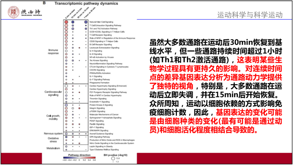 2025全年澳门与香港新正版免费资料大全精准24码,和平解答解释与落实展望