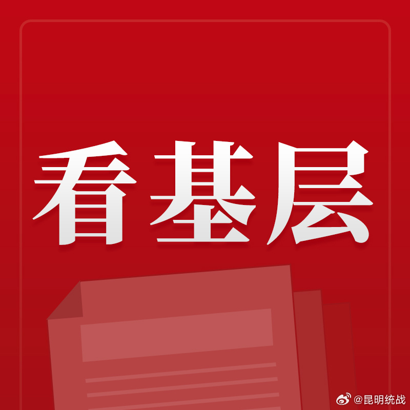 一肖一码一必中一肖,民主解答解释与落实展望