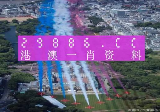 2025秒懂澳门一肖一码一一特一中厂,全面释义解释与落实展望